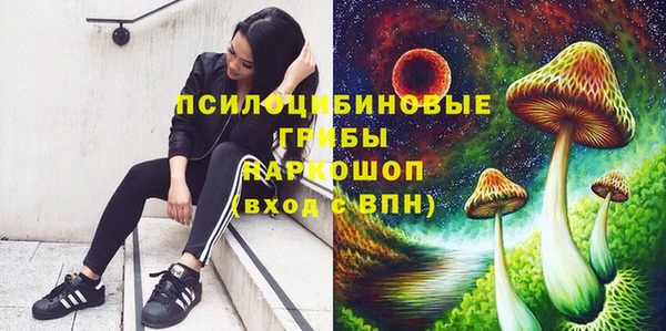 mix Алексеевка