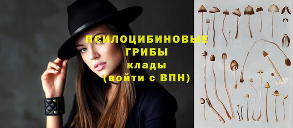 молекула духа Алексин