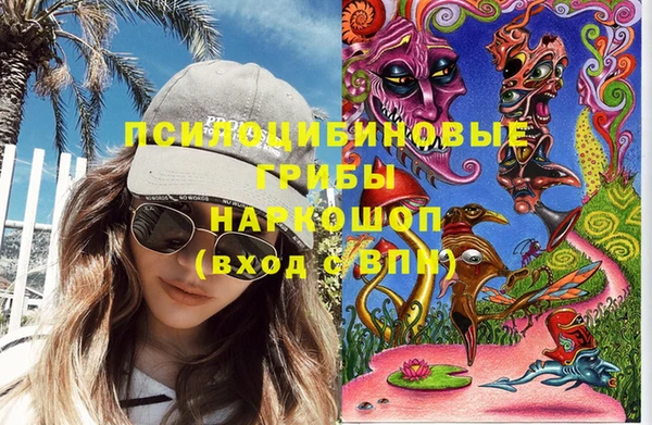 молекула духа Алексин