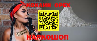 шишки Новозыбков