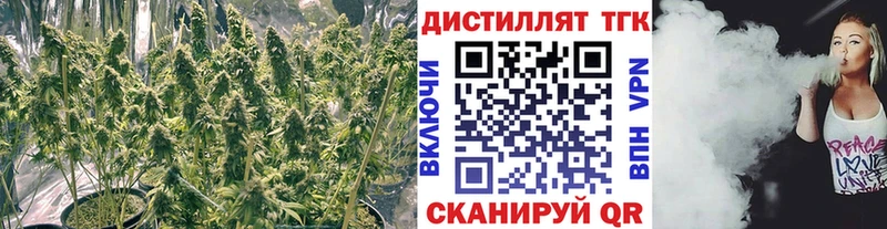 Дистиллят ТГК гашишное масло  Можга 