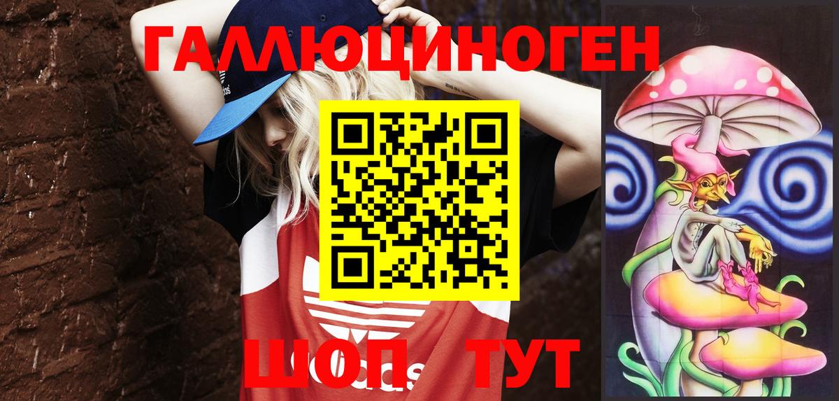 Галлюциногенные грибы Cubensis Можга